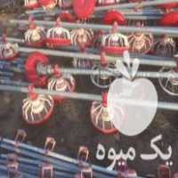 قیمت خرید وسایل مرغداری دست دوم صفرتا صد در چهارباغ در گروه تجهیزات مرغداری در یکمیوه