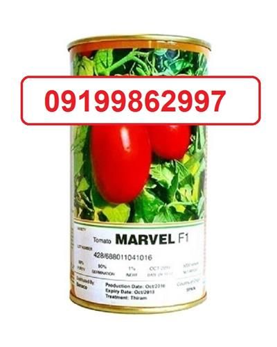 فروش بذر گوجه فرنگی مارول در یزد در گروه خرید و فروش بذر گوجه در یکمیوه -عکس1