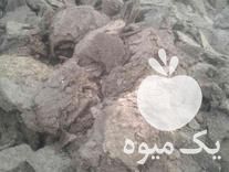 فروش کود گوسفند پرواری بسیار مرغوب در بناب در گروه خرید و فروش کود گوسفندی در یکمیوه -عکس1