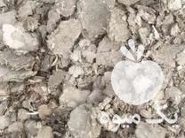 فروش کود مرغی گوشتی سالنی در لردگان در گروه خرید و فروش کود مرغی در یکمیوه -عکس1