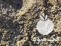 فروش کود گاوی گوسفندی درجه یک در دامغان در گروه خرید و فروش کود گاوی در یکمیوه -عکس1