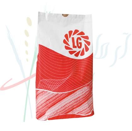 فروش پخش بذر ذرت لیماگرین ال جی دانه ای در گروه خرید و فروش بذر ذرت در یکمیوه -عکس1