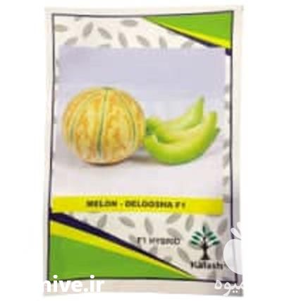 قیمت خرید بذر ملون شاه پسند در اصفهان در گروه خرید و فروش بذر ملون در یکمیوه -عکس1