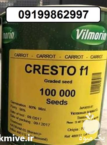 فروش بذر هویج کریستو ویلمورین با برگ های سبز قوی در گروه خرید و فروش بذر هویج در یکمیوه -عکس1
