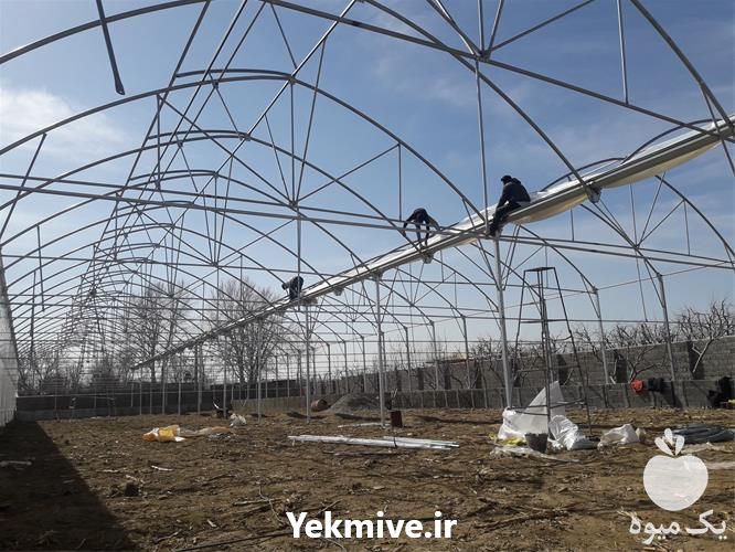 قیمت خرید نصب گلخانه در زنجان در گروه خرید و فروش سوله و سازه گلخانه در یکمیوه -عکس1