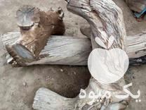 فروش چوب کنده درخت و کنده و قلم پسته در گروه خرید و فروش چوب و زغال در یکمیوه -عکس1