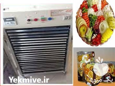 خشک کن میوه و سبزی مدل E 20 فروشگاه شایان کالا در گروه خشک کن در یکمیوه -عکس1