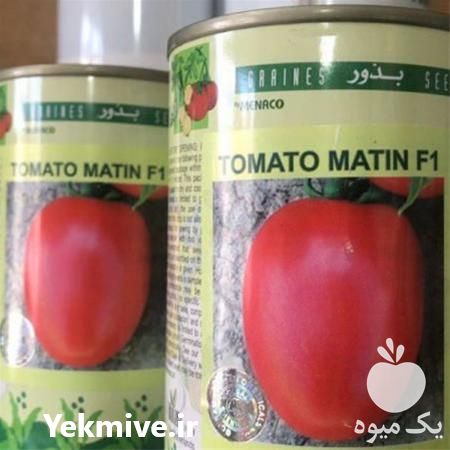 قیمت خرید بذر گوجه فرنگی متین در گروه خرید و فروش بذر گوجه در یکمیوه -عکس1