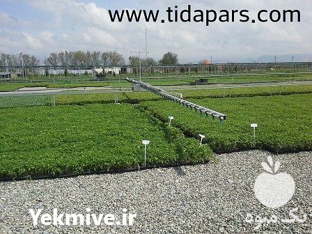 فروش بوم آبیاری گلخانه در کرج در گروه خرید و فروش اتصالات و تجهیزات آبیاری در یکمیوه -عکس1