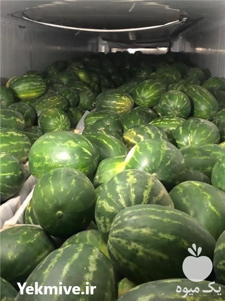 فروش هندوانه و ملون در گروه خرید و فروش هندوانه در یکمیوه -عکس1