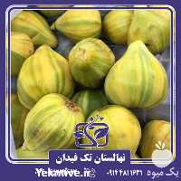 خرید و قیمت نهال انجیر تایگر در هرمز در گروه خرید و فروش نهال در یکمیوه