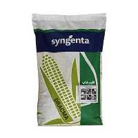 قیمت خرید بذر ذرت دراخما در هرمز در گروه خرید و فروش بذر ذرت در یکمیوه