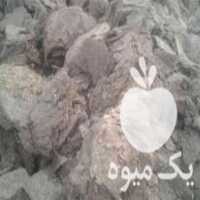 فروش کود گوسفند پرواری بسیار مرغوب در بناب در گروه خرید و فروش کود گوسفندی در یکمیوه