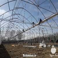 قیمت خرید نصب گلخانه در زنجان در گروه خرید و فروش سوله و سازه گلخانه در یکمیوه