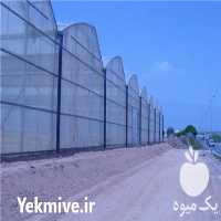 قیمت خرید ساخت و اجرای گلخانه های مکانیزه پلاستیکی و پلی کربنات در تهران در گروه خرید و فروش سوله و سازه گلخانه در یکمیوه