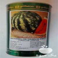 بذر هندوانه کانیون با قیمت مناسب و پر فروش در همدان در گروه خرید و فروش بذر هندوانه در یکمیوه