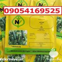 بذر خیار کیهان پرفروش اصل ارسال به سراسر کشور در گروه خرید و فروش بذر خیار در یکمیوه