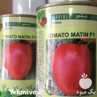 قیمت خرید بذر گوجه فرنگی متین در گروه خرید و فروش بذر گوجه در یکمیوه