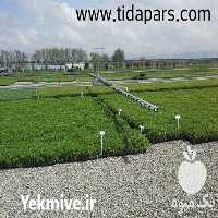 فروش بوم آبیاری گلخانه در کرج در گروه خرید و فروش اتصالات و تجهیزات آبیاری در یکمیوه