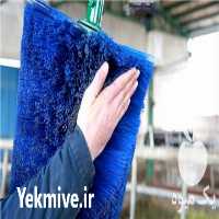 قیمت خرید دستگاه قشو گاوداری در همدان در گروه تجهیزات دامداری در یکمیوه