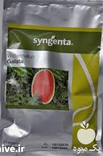 تامین بذر هندوانه گالاتا با قیمت مناسب و پر فروش در بوشهر در گروه خرید و فروش بذر هندوانه در یکمیوه -عکس1