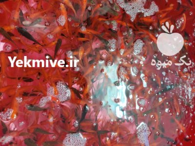 ماهی قرمز در گروه انواع ماهی - سالمون شیر کپور قرمز شوریده سفید گوپی مرکب در یکمیوه -عکس2