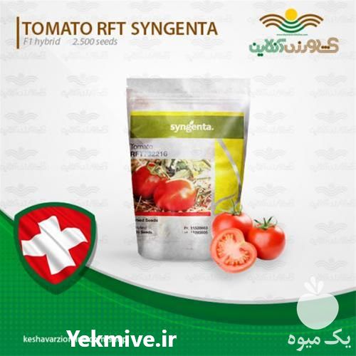 فروش بذر گوجه فرنگی هیبرید فضای باز آر اف تی در گروه خرید و فروش بذر گوجه در یکمیوه -عکس1