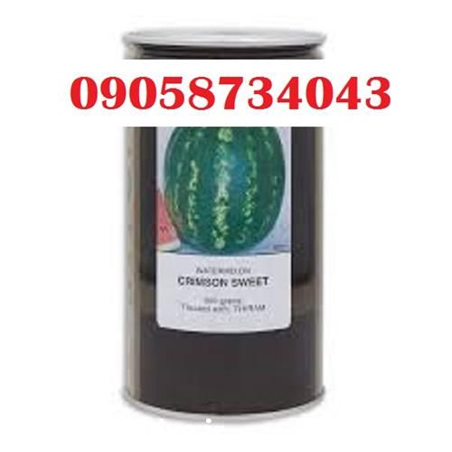 فروش بذر هندوانه کانیون در تهران در گروه خرید و فروش بذر هندوانه در یکمیوه -عکس1