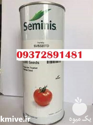 فروش بذر گوجه 8320 هیبرید در تهران در گروه خرید و فروش بذر گوجه در یکمیوه -عکس1