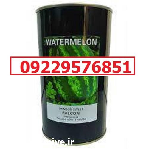 بذر هندوانه کانیون پرفروش اصل در گروه خرید و فروش بذر هندوانه در یکمیوه -عکس1