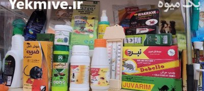 سم پاش و محلول پاش تربت جام در گروه خرید فروش ابزار ها و تجهیزات کشاورزی - دستی برقی ماشینی بیل کلنگ در یکمیوه -عکس4