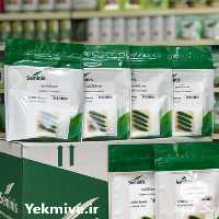 فروش بذر خیار امپراطور بذر در یزد در گروه خرید و فروش بذر خیار در یکمیوه