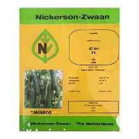 فروش بذر خیار کیهان در هرمز در گروه خرید و فروش بذر خیار در یکمیوه