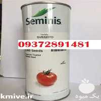 فروش بذر گوجه 8320 هیبرید در تهران در گروه خرید و فروش بذر گوجه در یکمیوه