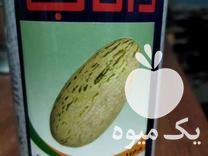 فروش بذر اصلاح شده خربزه درگزی تاشکندی در گروه خرید و فروش بذر اصلاح شده در یکمیوه -عکس1