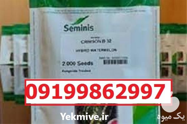 قیمت خرید قیمت بذر هندوانه B 32 پربار در گروه خرید و فروش بذر هندوانه در یکمیوه -عکس1