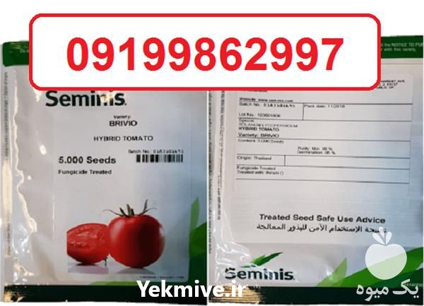 فروش بذر گوجه فرنگی بریویو در گروه خرید و فروش بذر گوجه در یکمیوه -عکس1
