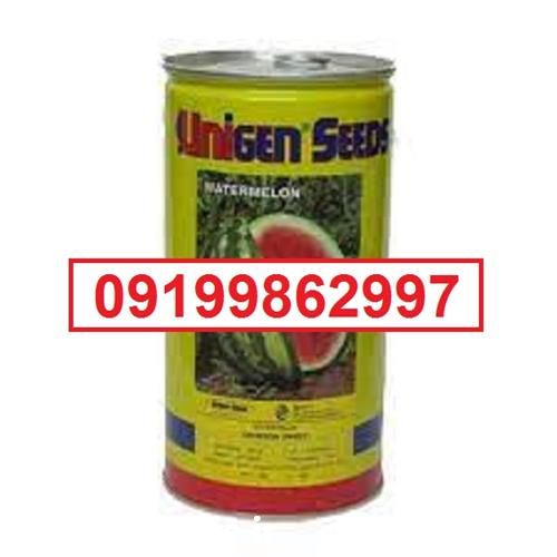 فروش بذر هندوانه یونی ژن اصل در گروه خرید و فروش بذر هندوانه در یکمیوه -عکس1