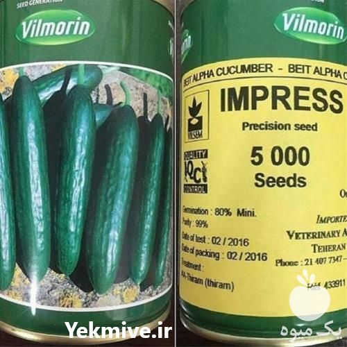 قیمت خرید بذر خیار ایمپرس در گروه خرید و فروش بذر خیار در یکمیوه -عکس1