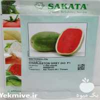 فروش بذر هندوانه سفید ساکاتا 243 در گروه خرید و فروش بذر هندوانه در یکمیوه