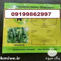 فروش بذر خیار کیهان در یزد در گروه خرید و فروش بذر خیار در یکمیوه