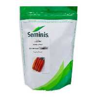 قیمت خرید بذر هویج هیبرید کاروورا در آذربایجان شرقی در گروه خرید و فروش بذر هویج در یکمیوه