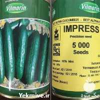 قیمت خرید بذر خیار ایمپرس در گروه خرید و فروش بذر خیار در یکمیوه