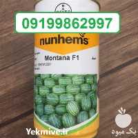 قیمت خرید بذر هندوانه مونتانا در ایلام در گروه خرید و فروش بذر هندوانه در یکمیوه