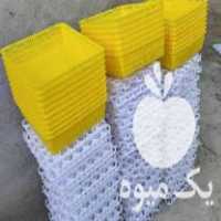 فروش لوازم و قطعات جوجه کشی پرداخت درب منزل در گروه تجهیزات مرغداری در یکمیوه