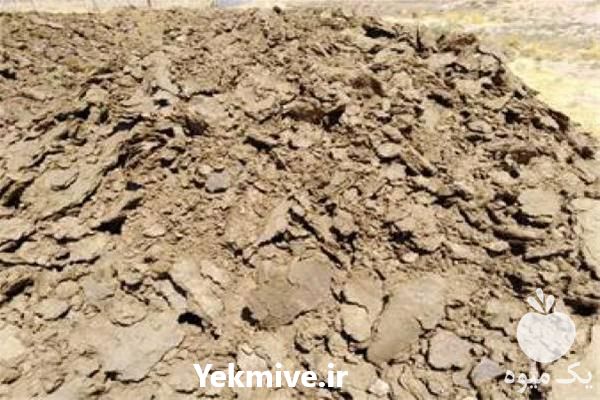 قیمت خرید کود دامی در گروه خرید و فروش کود دامی در یکمیوه -عکس1