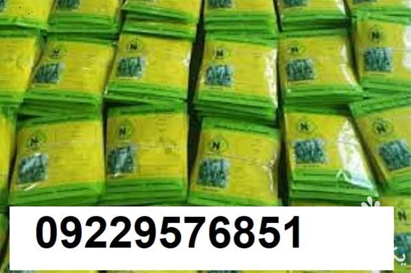 بذر پر فروش خیار کیهان در بوشهر در گروه خرید و فروش بذر خیار در یکمیوه -عکس1