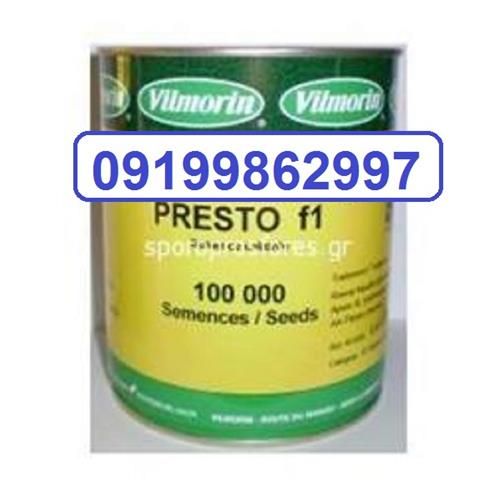 فروش بذر هویج پرستیو در گروه خرید و فروش بذر هویج در یکمیوه -عکس1