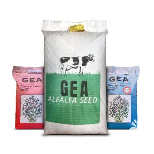 قیمت خرید قیمت بذر یونجه جیا در کرج در گروه خرید و فروش بذر یونجه در یکمیوه -عکس1