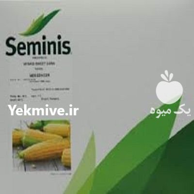 بذر ذرت مسنجر در گروه خرید فروش بذر - انواع محصول کشاورزی گوجه کتان میوه درخت در یکمیوه -عکس1